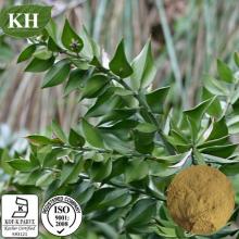 Butcher's  Broom  Extract: Saponin Glycosides 10%Min by UV