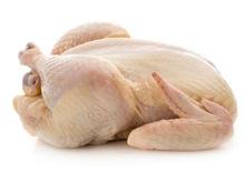 Halal Certified Whole Frozen Chicken for Export