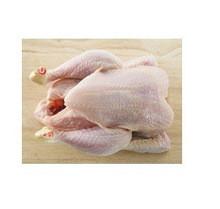 BRAZILIAN HALAL  FROZEN  WHOLE CHICKEN TO UNITED  ARAB  EMIRATES