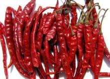 Indian Dry Red Chilli