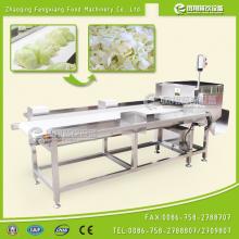 Hobbing Type Vegetable Cutting Machine