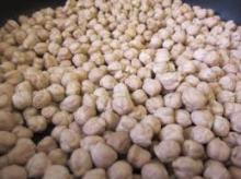  Kabuli  And  Desi   Chickpeas /Yellow-Maize/Black Pepper