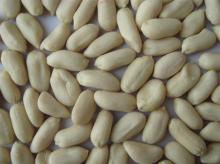 Supply the shandong blanched peanuts