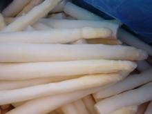 new crop frozen white asparagus, IQF white asparagus