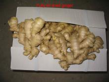 fresh ginger,  air   dry  ginger, china ginger supply