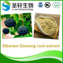 Siberian Ginseng extract