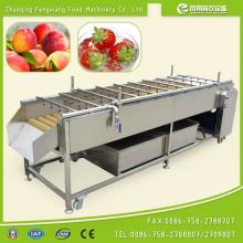 HP-360 industrial high pressure spray guava washing machine professional guava washer
