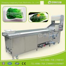 PT-2000 Blanching Machine