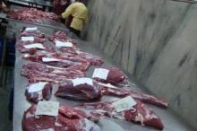 Frozen Buffalo Meat fore quarters, Buffalo Meat, Beef Meat, Beef Intestines, Beef Towel