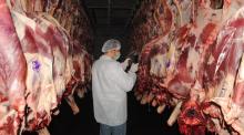 FROZEN BEEF OFFAL