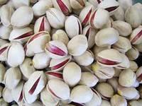 Quality Grade A Raw Dried Preserved Pistachio Nuts for Export