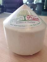 Fresh Young Coconut Thai (Diamond Shape)