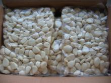 new crop frozen china garlic, frozen garlic cloves, frozen garlic segment