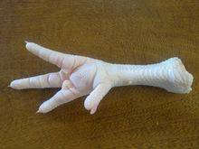frozen chicken feet and paws