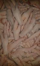 FEET , PAWS AND WHOLE FROZEN CHICKEN