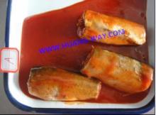  Canned   Mackerel  In  Tomato   Sauc e