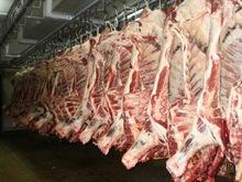 Fresh frozen quality red beef cow meat/sheep fresh meat available