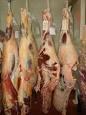 Frozen Halal Buffalo Meat (Fore Quarter Meat, Blade, Tail, Lips