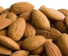 Bulk bitter almond nut with good quality for sale
