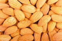 Raw Almond nuts for sale