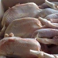 Whole Frozen Chicken , Chicken Legs, Chicken Fillets