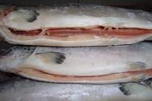 Frozen Brazilian salmon fish