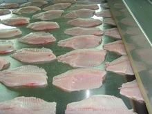 Brazilian frozen tilapia fillet wholesale pricef