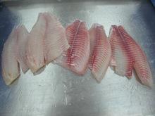 Frozen Tilapia Fillets Wholesale Price from Brazil
