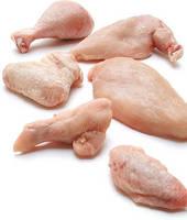 Frozen Chicken, Halal Frozen Chicken,  Kosher  Frozen Chicken, Chicken Wings, Paw, Feet