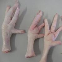 FROZEN CHICKEN FEET AND PAWS