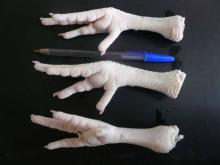 FROZEN PROCESSED CHICKEN FEET AND PAWS BRAZIL ORIGIN