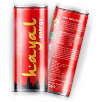 Hayal Energy Drink Can with 25cl