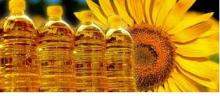  Plant   Oil 