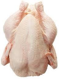 freed chicken