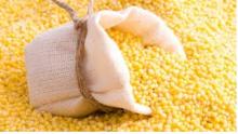 millet grain