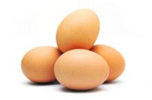  FRESH   TABLE   EGGS 