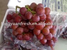Fresh red grapes
