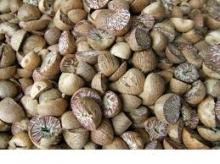 Whole and  Split   Betel  Nut Grade A