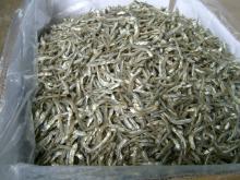 DRIED ANCHOVY FISH - Specialties from Vietnam
