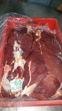 HALAL FROZEN MEAT