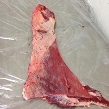 Brisket beef