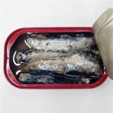 Canned Sardines 125g - 50pcs