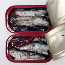 Canned Sardines in oil 125g - 50pcs