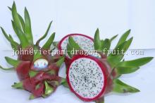 DRAGON FRUIT FROM VIET NAM