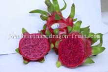  RED   DRAGON   FRUIT  FROM VIET NAM