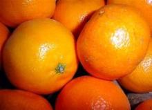  Clementine 