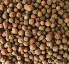 allspice
