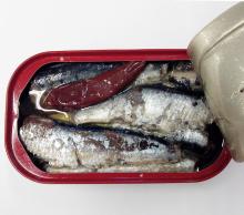 Canned Sardines in oil with chilli 125g - 50pcs
