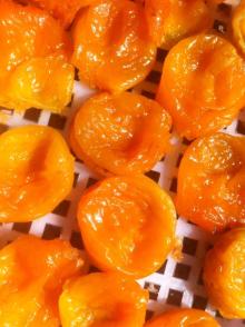 dried apricot,Nature Sundried NO SO2