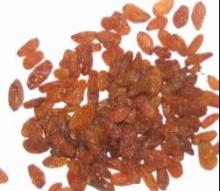 red raisins Turpan  Xinjiang  280-300 High Class